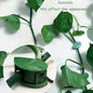 Plant Climbing Wall Clip, Self-Adhesive Vines Support Hooks for Indoor Outdoor Use (10 Pcs Set)