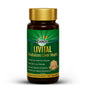 Zandu Livital Liver Detox Tablet | Clinically Proven for Liver Detox in just 2 Months