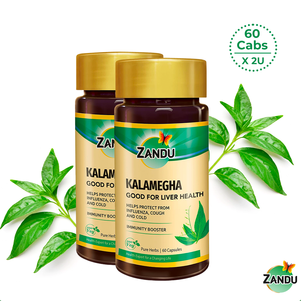 Kalamegha (60 Caps)(Pack of 2)