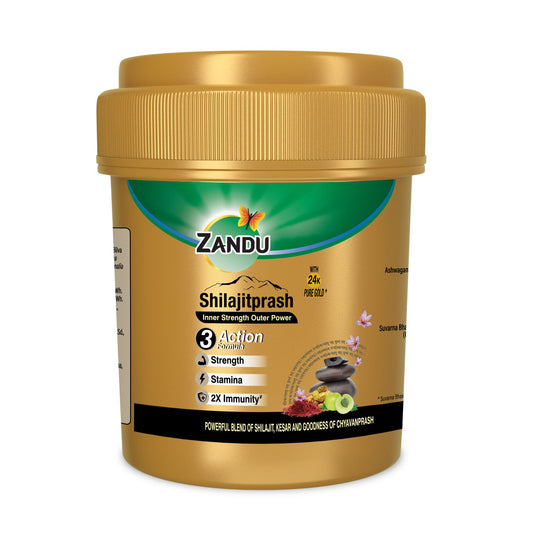 Zandu Shilajitprash