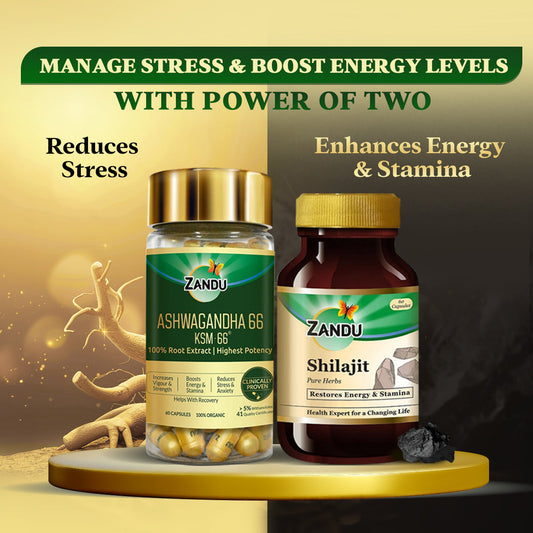 Zandu Sheelajet Capsule (60 Caps) + Ashwagandha KSM-66 (60 Caps) | Clinically Proven | Manage stress & maintain energy level | 100% Ayurvedic
